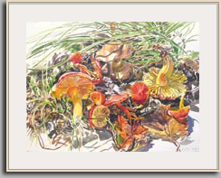 Janet Fish   "Advice from a Caterpillar"   1988   22&frac34;" x 30"